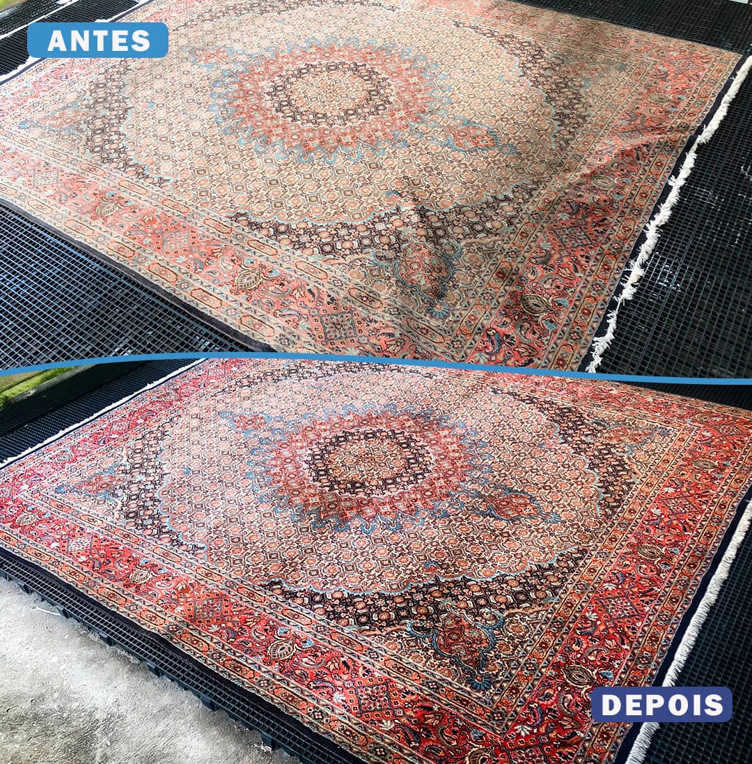 Higienização de estofados pela Trate Clean em Natal